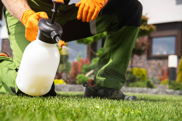 Best Pest Control Near Me  in Franklin Lakes, NJ