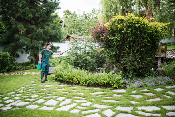Best Local Pest Control Services  in Franklin Lakes, NJ