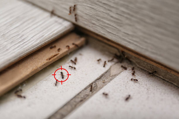 Franklin Lakes, NJ Pest Control Company
