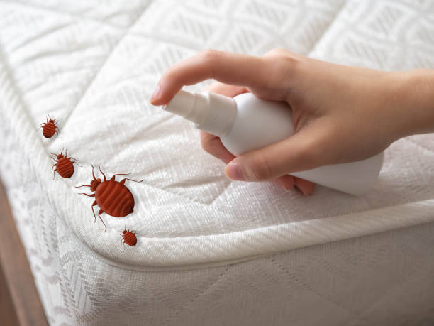Best Insect Control  in Franklin Lakes, NJ