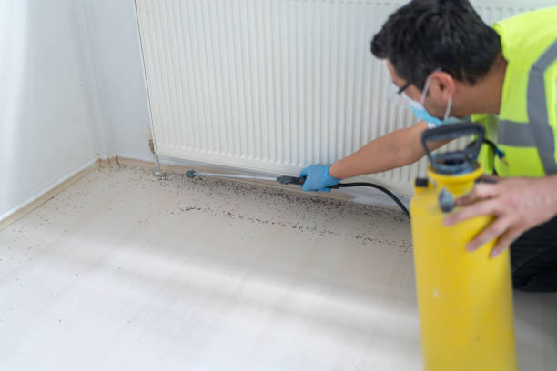 Best Pest Removal Services  in Franklin Lakes, NJ