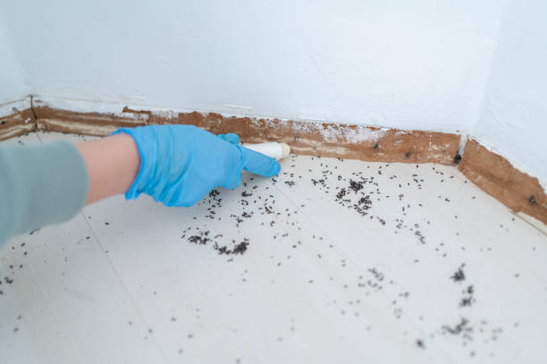 Best Mosquito Control Services  in Franklin Lakes, NJ