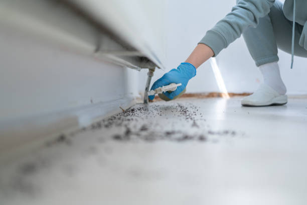 Best Bed Bug Extermination  in Franklin Lakes, NJ