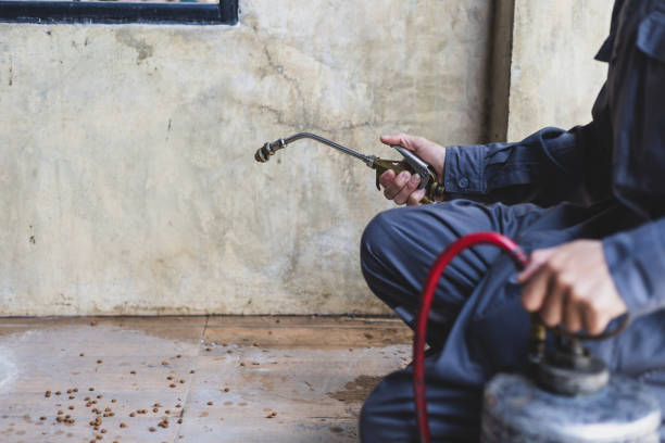 Best Best Pest Control Companies  in Franklin Lakes, NJ
